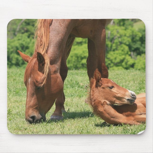 Stuten-und Colt-Mausunterlage Mousepad (Vorne)