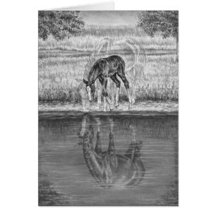 Stuten-und Fohlen-Pferd, das durch Kelli Schwan