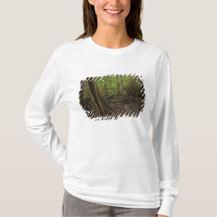 Stütz Wurzeln. Regenwald, Mapari Rupununi, 2 T-Shirt