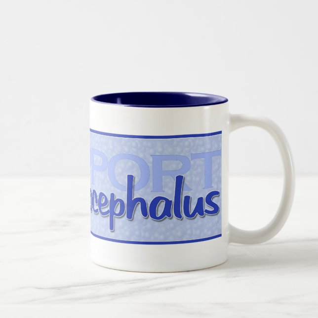"Stützhydrocephalus-" Tasse (Rechts)
