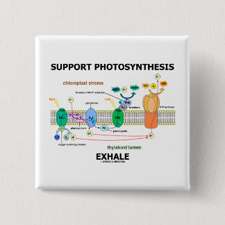 Stützphotosynthese atmen aus (Biochemie-Spaß) Button
