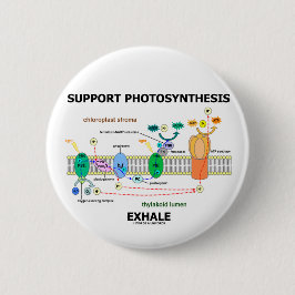 Stützphotosynthese atmen aus (umweltsmäßig) button