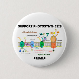 Stützphotosynthese atmen aus (umweltsmäßig) button