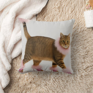 Stylische Katze in rosa Absätzen und flauschigem G Kissen