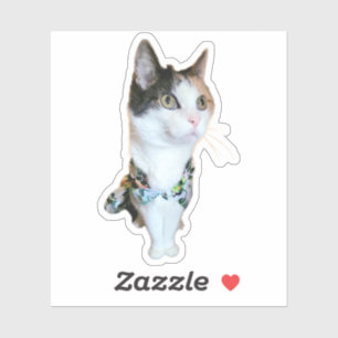 Stylische Katze Lustiger Aufkleber