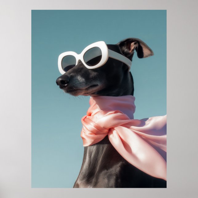 Stylischer Hund mit Sonnenbrille Schal Poster (Vorne)