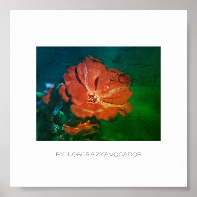 Stylisches Red Green Geranium Blume Poster (Vorne)