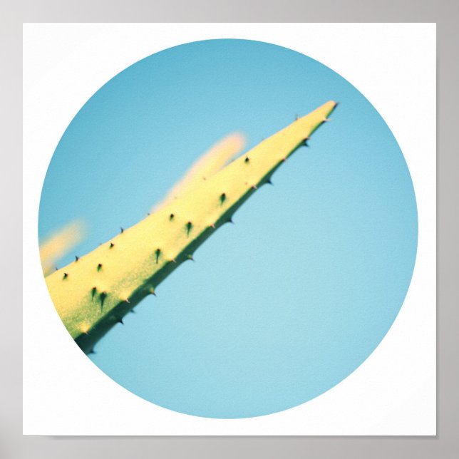 Stylish Green Cactus Thorns Blue Sky Poster (Vorne)