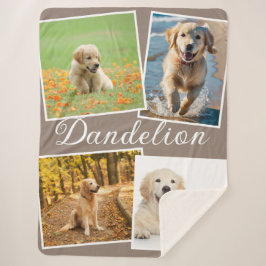 Stylish Modern Pet Dog Photo Collage Taupe Brown Sherpadecke