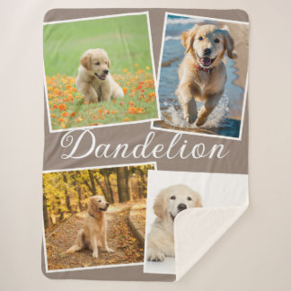 Stylish Modern Pet Dog Photo Collage Taupe Brown Sherpadecke