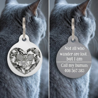 Stylish Silver Diamond Dog Cat Call ID Lost Tag Haustiermarke