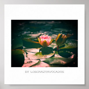 Stylisierte Pink Water Lily Blume Pflanze Poster