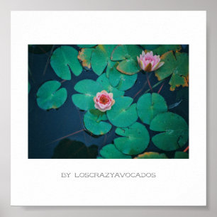 Stylisierte Pink Water Lily Blume Pflanze Poster