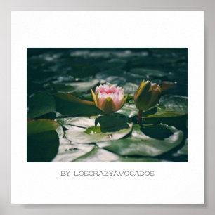 Stylisierte Pink Water Lily Blume Pflanze Poster