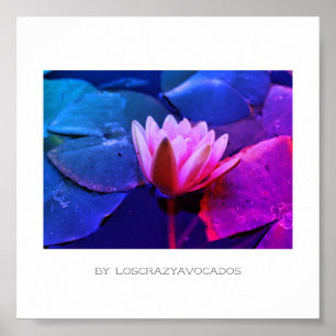 Stylisierte Pink Water Lily Blume Pflanze Poster