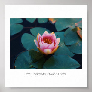 Stylisierte Pink Water Lily Blume Pflanze Poster