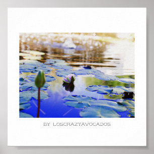 Stylisierte Pink Water Lily Blume Pflanze Poster