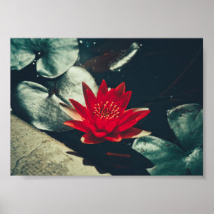 Stylisierte Red Green Water Lily Blume Pflanze Pos Poster