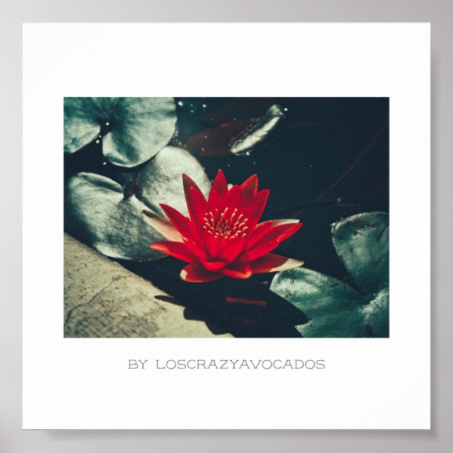 Stylisierte Red Green Water Lily Blume Pflanze Pos Poster (Vorne)