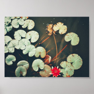 Stylisierte Red Green Water Lily Blume Pflanze Pos Poster