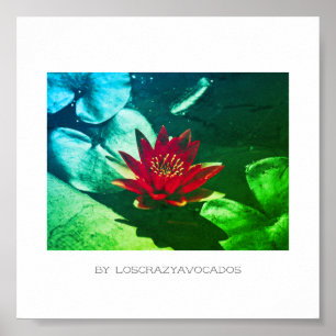 Stylisierte Red Green Water Lily Blume Pflanze Pos Poster