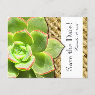 Stylized Henne-und Küken-Leinwand Save the Date Ankündigungspostkarte