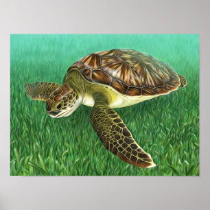 Stylized Juvenile Green Turtle Poster