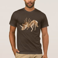 Styracosaurus-Dinosaurier-Skelett #1
