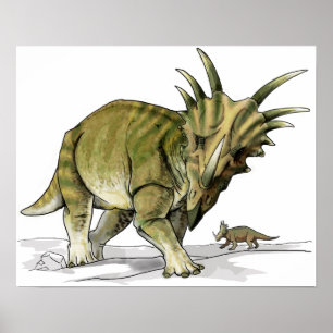 Styracosaurus - krebserregende Dinosaurier Poster