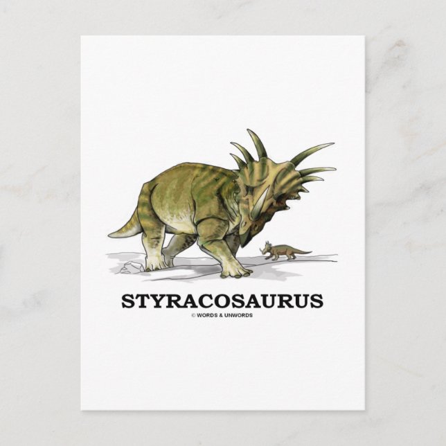 Styracosaurus Postkarte (Vorderseite)