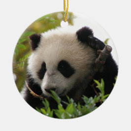 SU Lin, PandaBärenjunges am San Diego Zoo Keramikornament