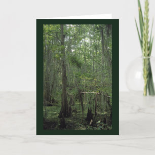 Suamp Serenity Custom Louisiana Grußkarten Karte