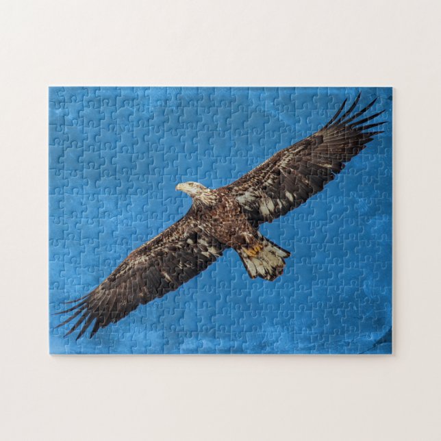 Subadulter Adler Puzzle (Horizontal)