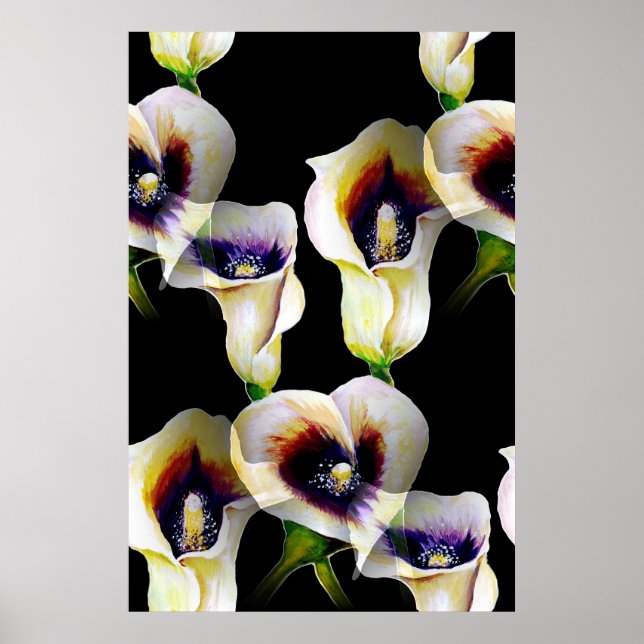 Sublime Watercolor Arum Calla Lilies Poster (Vorne)