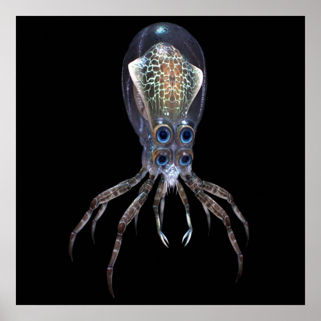 Subnautica Crabsquid Poster (Vorne)