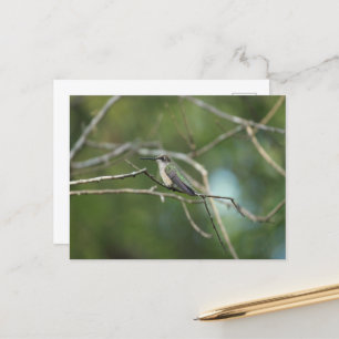 Subtile Beauty Postkarte