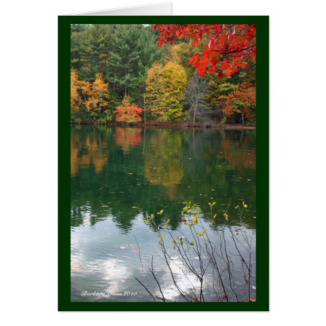 Subtile Magnetismus in der Natur: Waldenteich (Vorne)