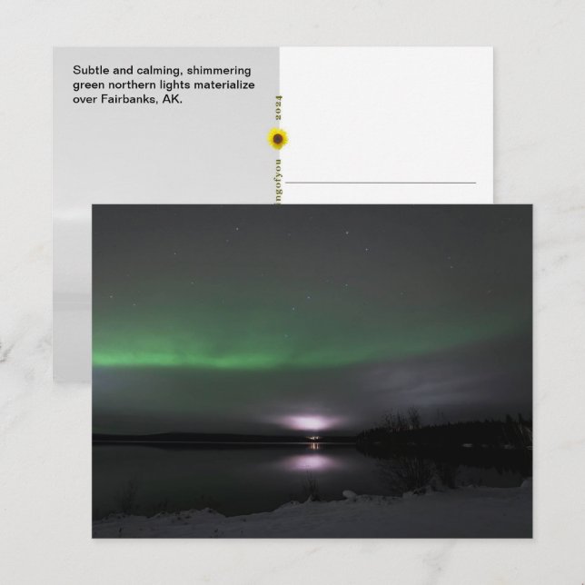 Subtile Northern Lights, Fairbanks, AK - Postkarte (Vorne/Hinten)