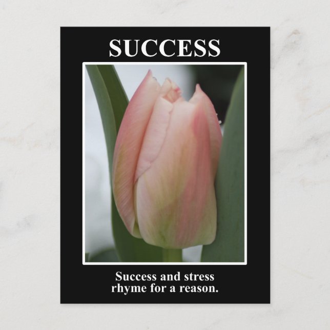 Success rhymes with stress for a reason postkarte (Vorderseite)