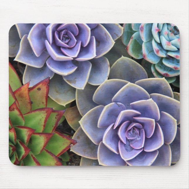 Succulent Bouquet Mouse Pad Mousepad (Vorne)
