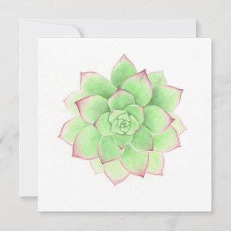 Succulent - Original Artwork von Meghann Russell Feiertagskarte