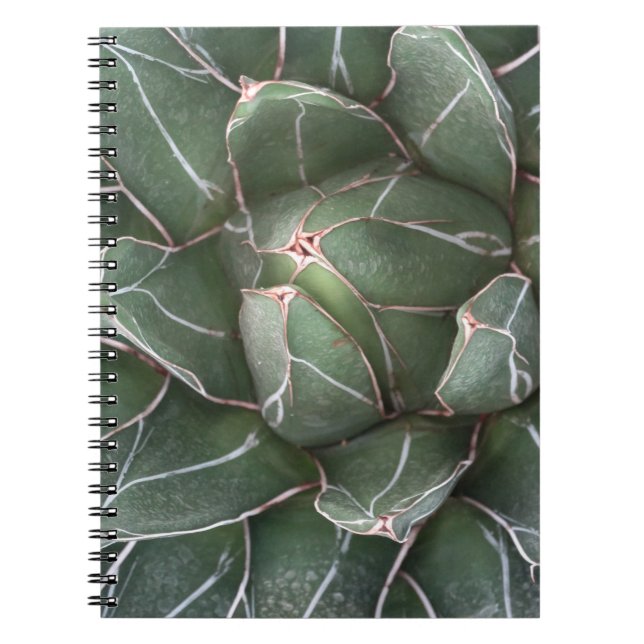Succulent Pflanze Foto Notebook (80 Seiten B&W) Notizblock (Vorderseite)
