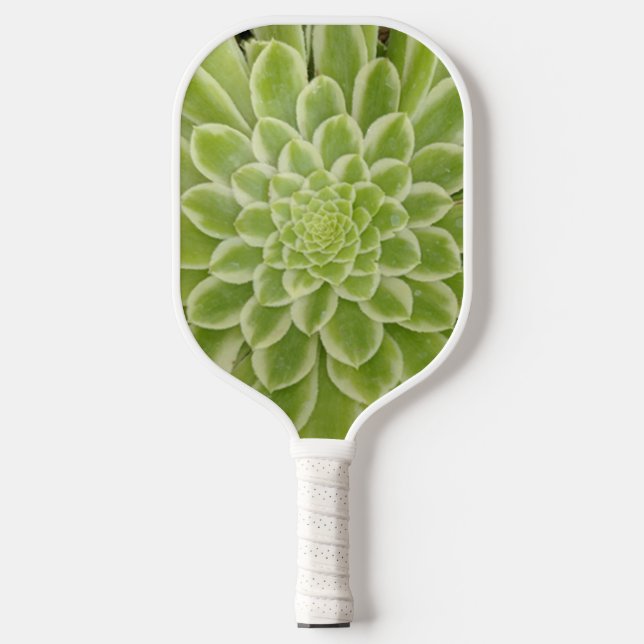Succulent Pickleball Paddle (Vorderseite)
