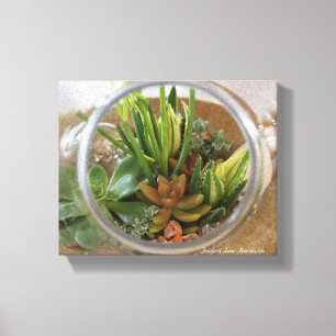 Succulent Terrarium Poster von Debra Lee Baldwin Leinwanddruck