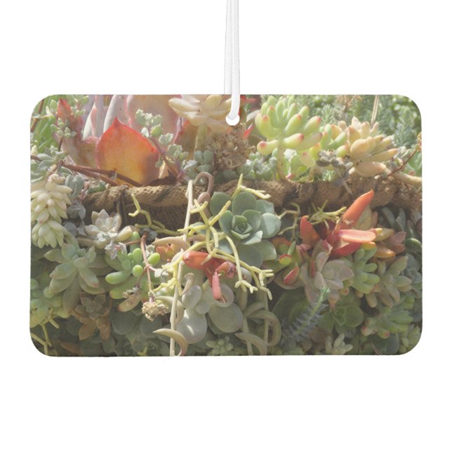 Succulents Air Freshener Autolufterfrischer (Vorderseite)