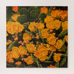 Succulents Garden Yellow Flowers Kakteen Green Lea Puzzle