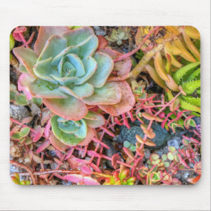 Succulents Mousepad