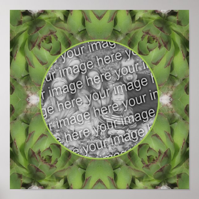Succulents Nature Frame erstellen Sie Ihr eigenes  Poster (Vorne)