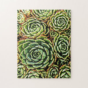Succulents Puzzle