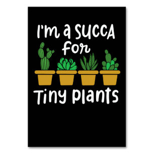 Succulents Tiny Pflanze Tischnummer